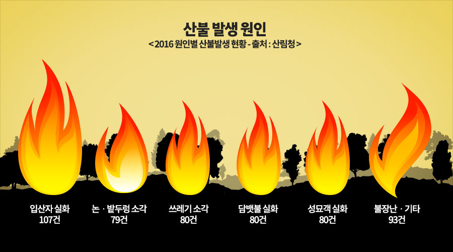 산불 발생 원인 <2016 원인별 산불발생 현황 - 출처:산림청> 입산자 실화 - 107건, 논·밭두렁소각-79건, 쓰레기소각 - 80건, 담뱃불 실화 - 80건, 성묘객 실화 - 80건, 불장난·기타 - 93건