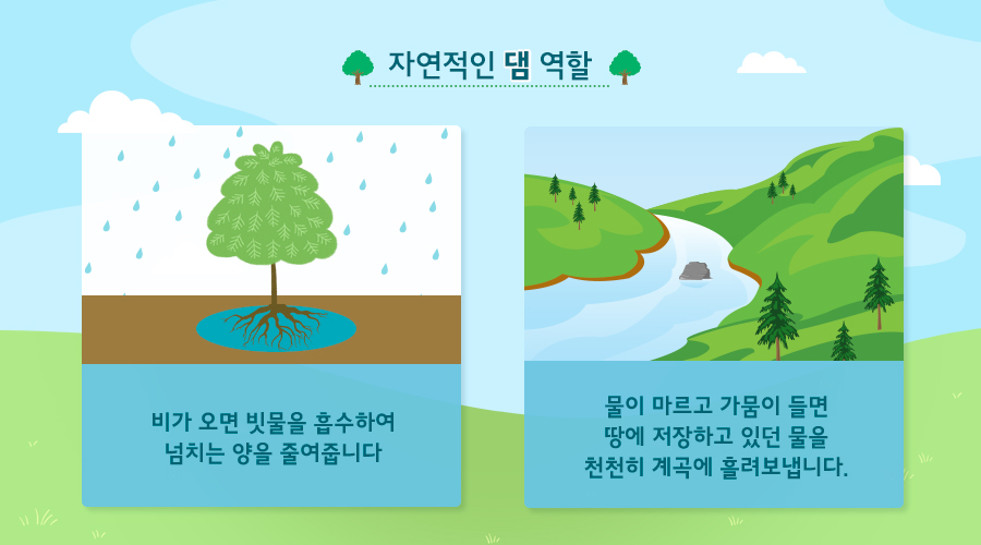 숲 이 홍수 와 산사태 를 막아 준 사례