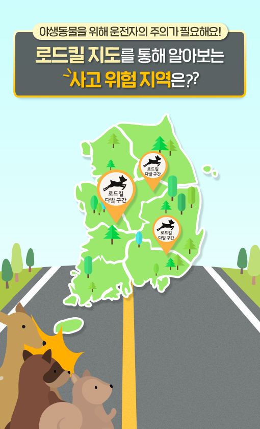 야생동물을 위해 운전자의 주의가 필요해요! 로드킬 지도를 통해 알아보는 사고 위험 지역은? 